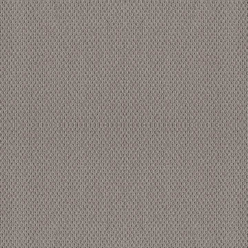 Grey Fox