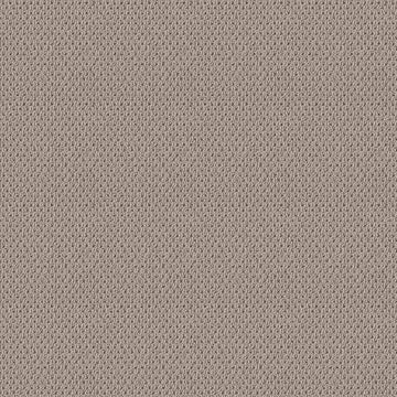 Baltic Stone