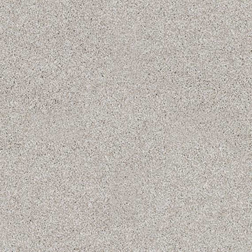 Studio Taupe