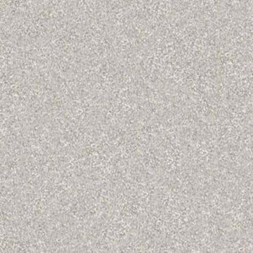 Studio Taupe