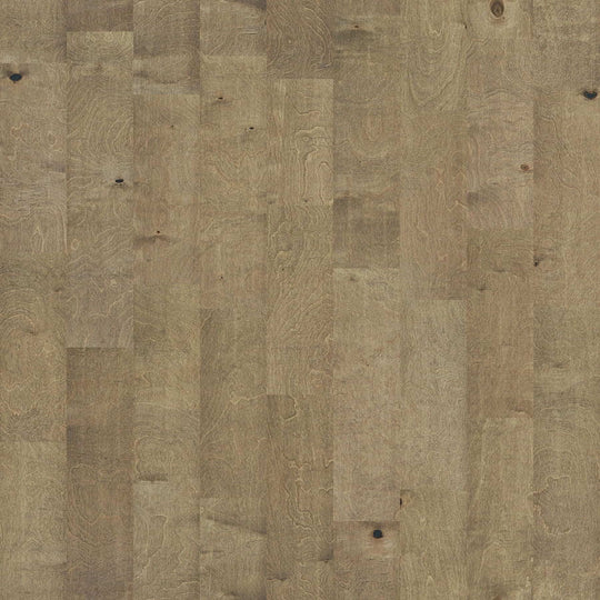 Delray in Crescent Beach