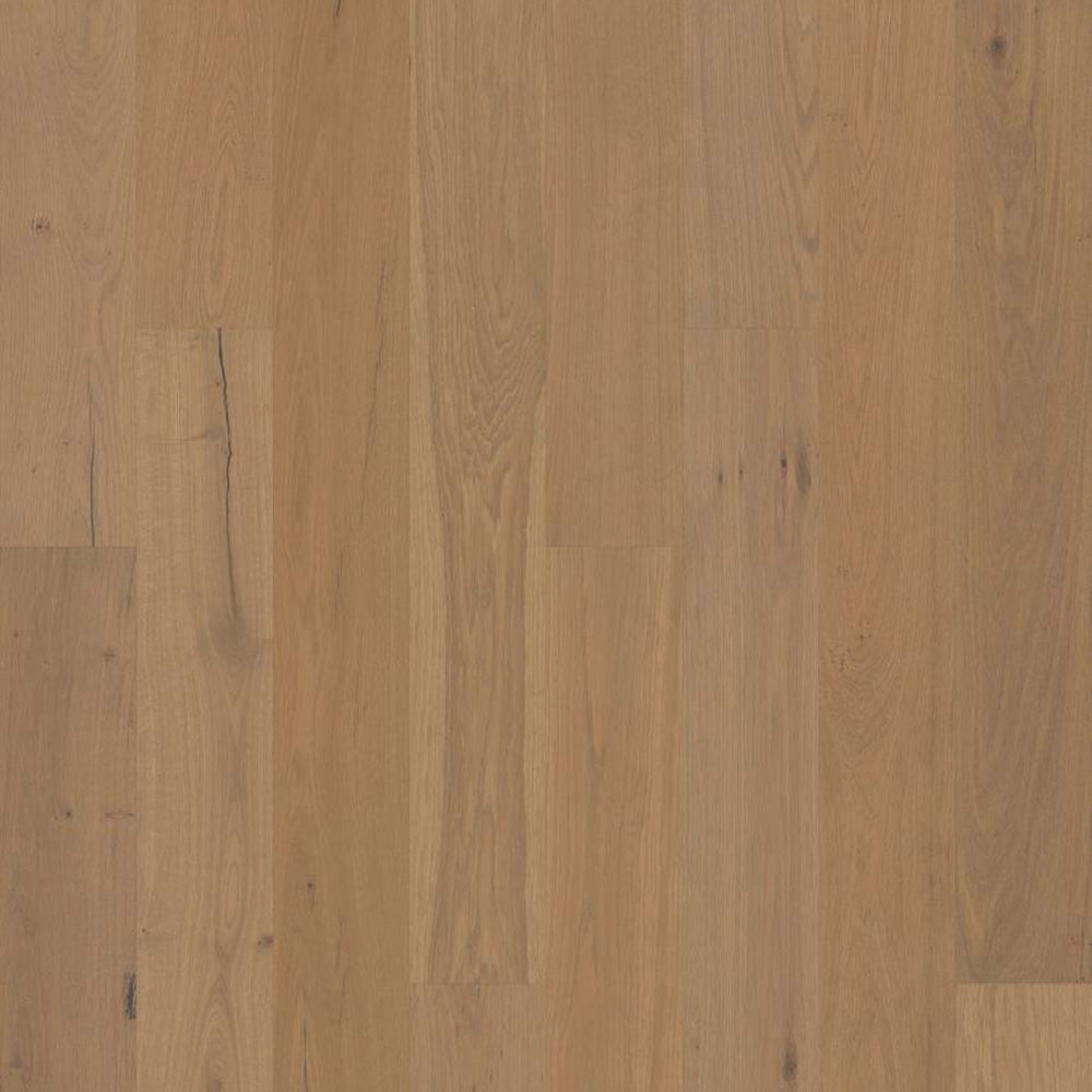 ELEGANCE OAK in Crema Hardwood
