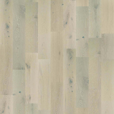 PERSPECTIVES in Melody Hardwood