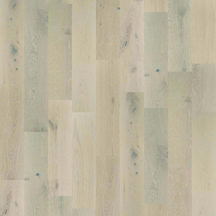PERSPECTIVES in Melody Hardwood