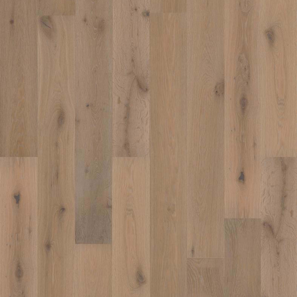 PERSPECTIVES in Watercolor Hardwood