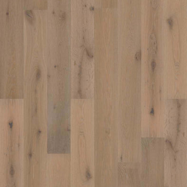 PERSPECTIVES in Watercolor Hardwood