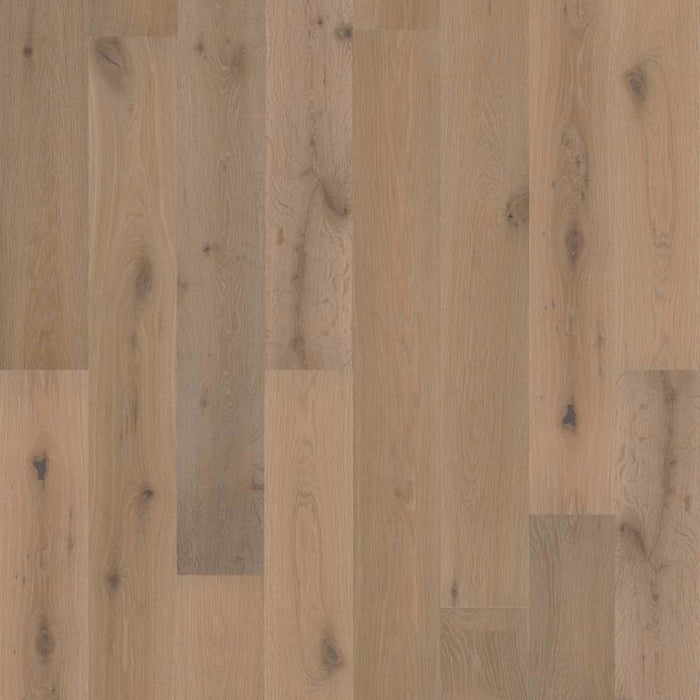 PERSPECTIVES in Watercolor Hardwood