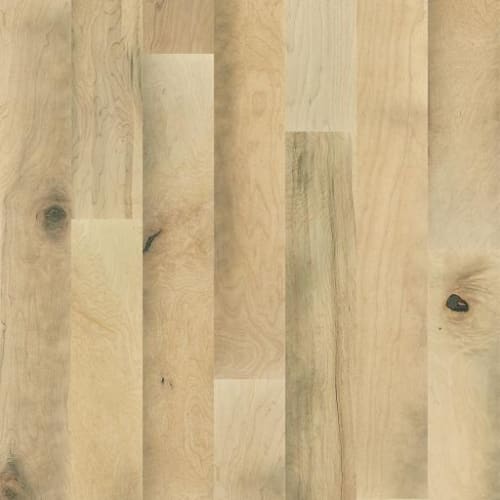 CORRIGAN MAPLE in Unbridled