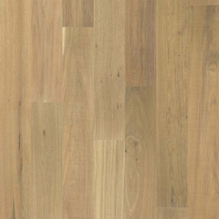 FRONTIER SMOOTH in Grove Smooth Hardwood