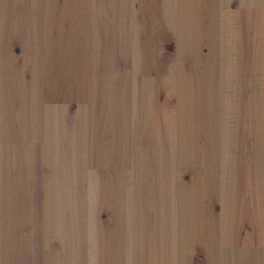 MAJESTIC PECAN in Fawn