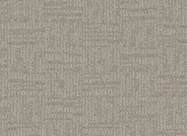 Mystique in Iced Latte Carpet