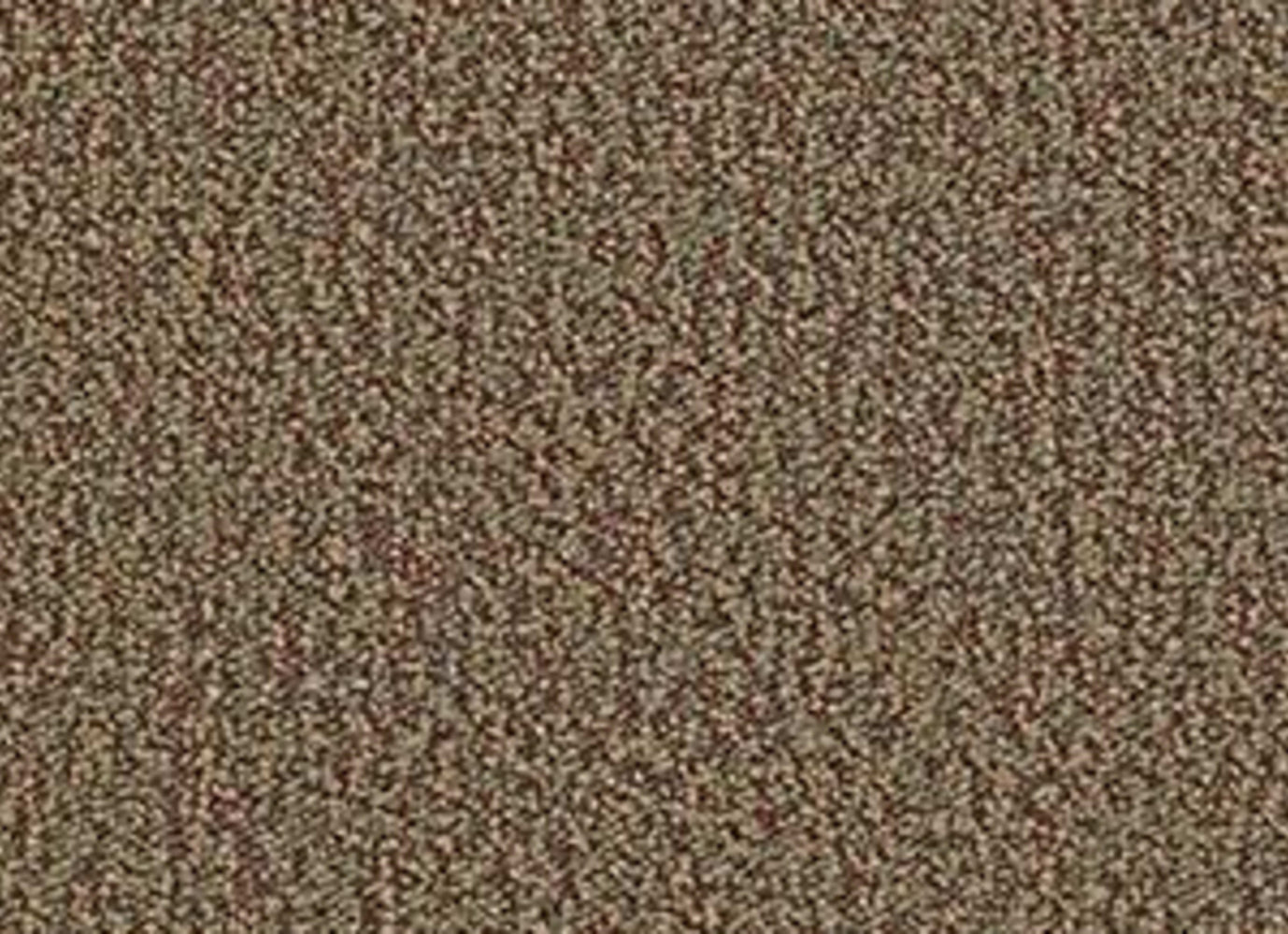 No Limits 26 in Achievement Carpet