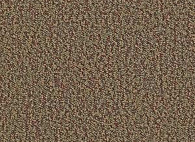 No Limits 26 in Achievement Carpet