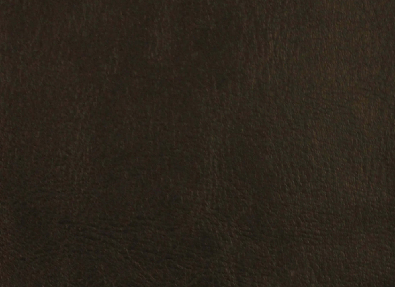 Leather Essence in Midnight Carpet