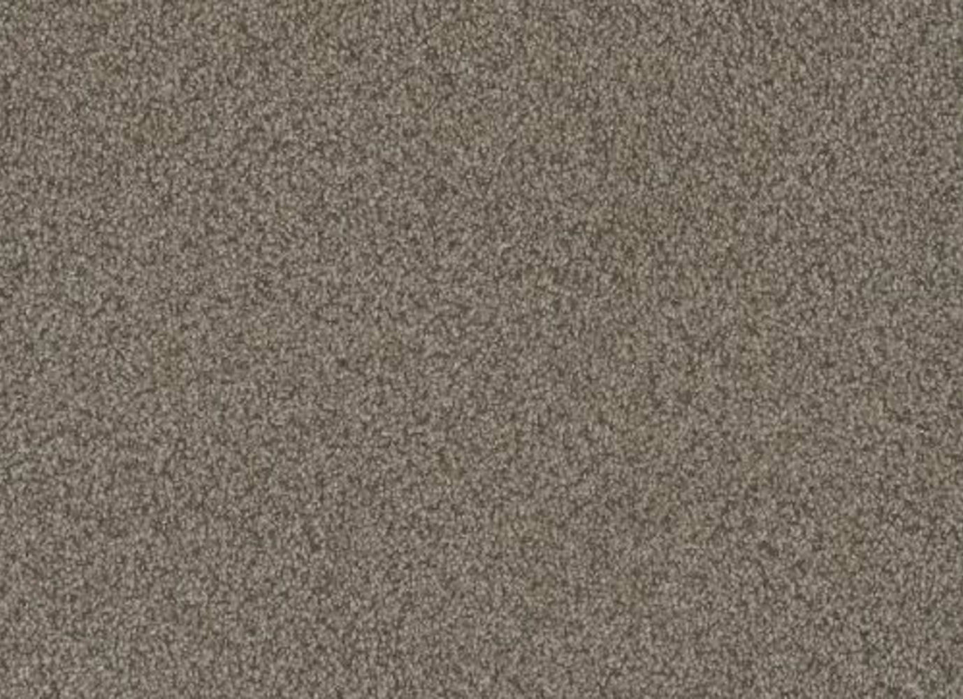 No Limits I in Madura Sands Carpet