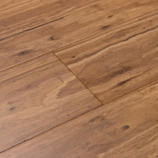 Eucalyptus in Mocha