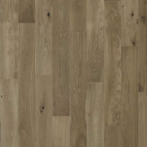 Norwood Hill - Laguna Plank in Monte Beach