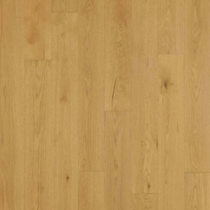Balboa Strip in Naturale Oak Hardwood
