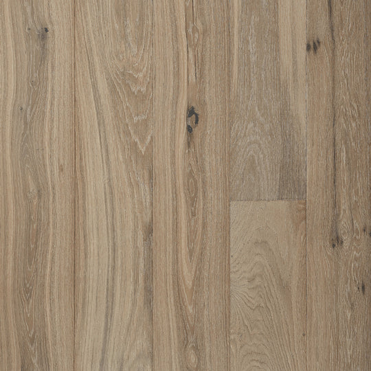 Northridge Oak in New Haven