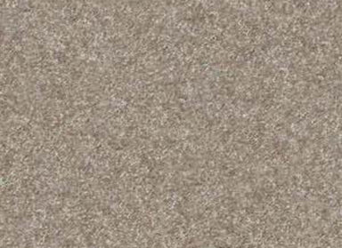 NV209 in Harbor Town Carpet