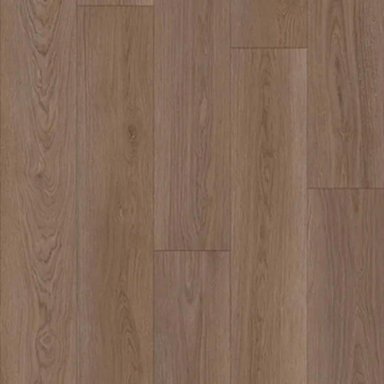 Panoramic in Tawny Oak