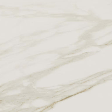 Perpetuo in Brilliant White 12x24 Tile