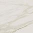 Perpetuo in Brilliant White 12x24 Tile