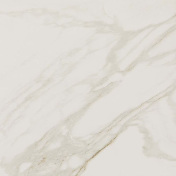 Perpetuo in Brilliant White 24x24 Tile