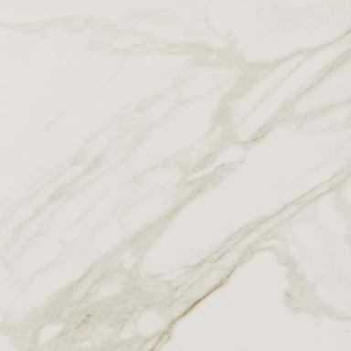 Perpetuo in Brilliant White 12x12 Tile