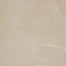 Perpetuo in Elegant Beige 24x24 Tile