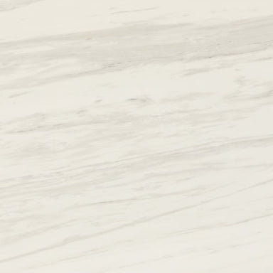 Perpetuo in Timeless White 12x24 Tile