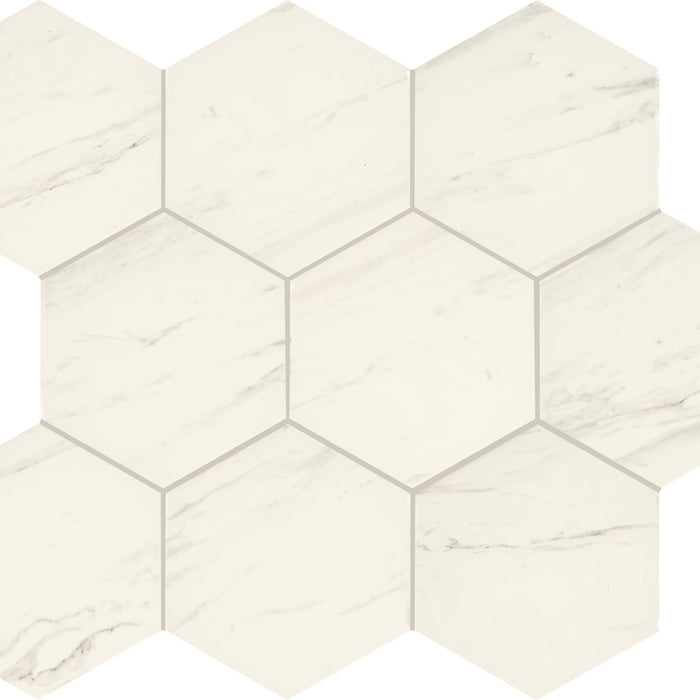 Perpetuo in Timeless White Hexagon 8 Tile