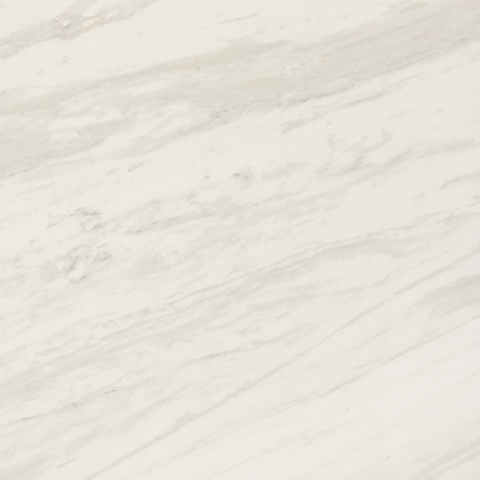 Perpetuo in Timeless White 12x12 Tile