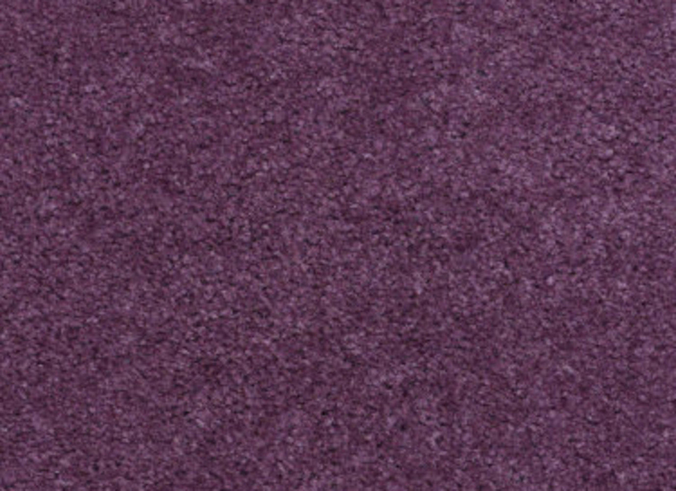 Matador in Grape Carpet
