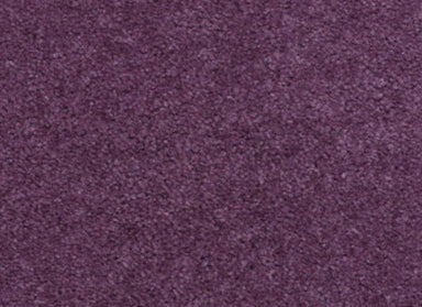 Matador in Grape Carpet