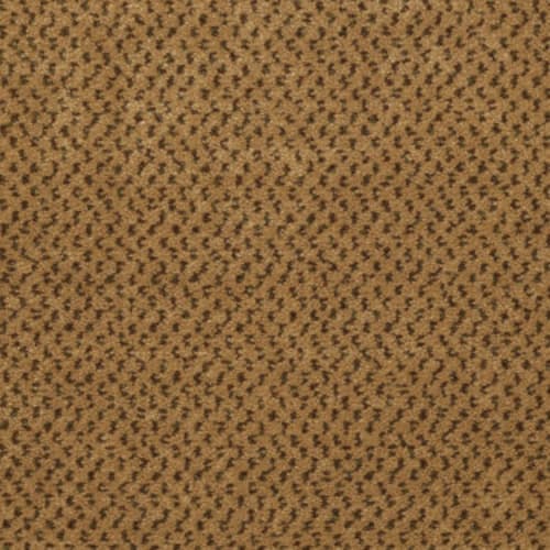 Inspired in Casino Carpet