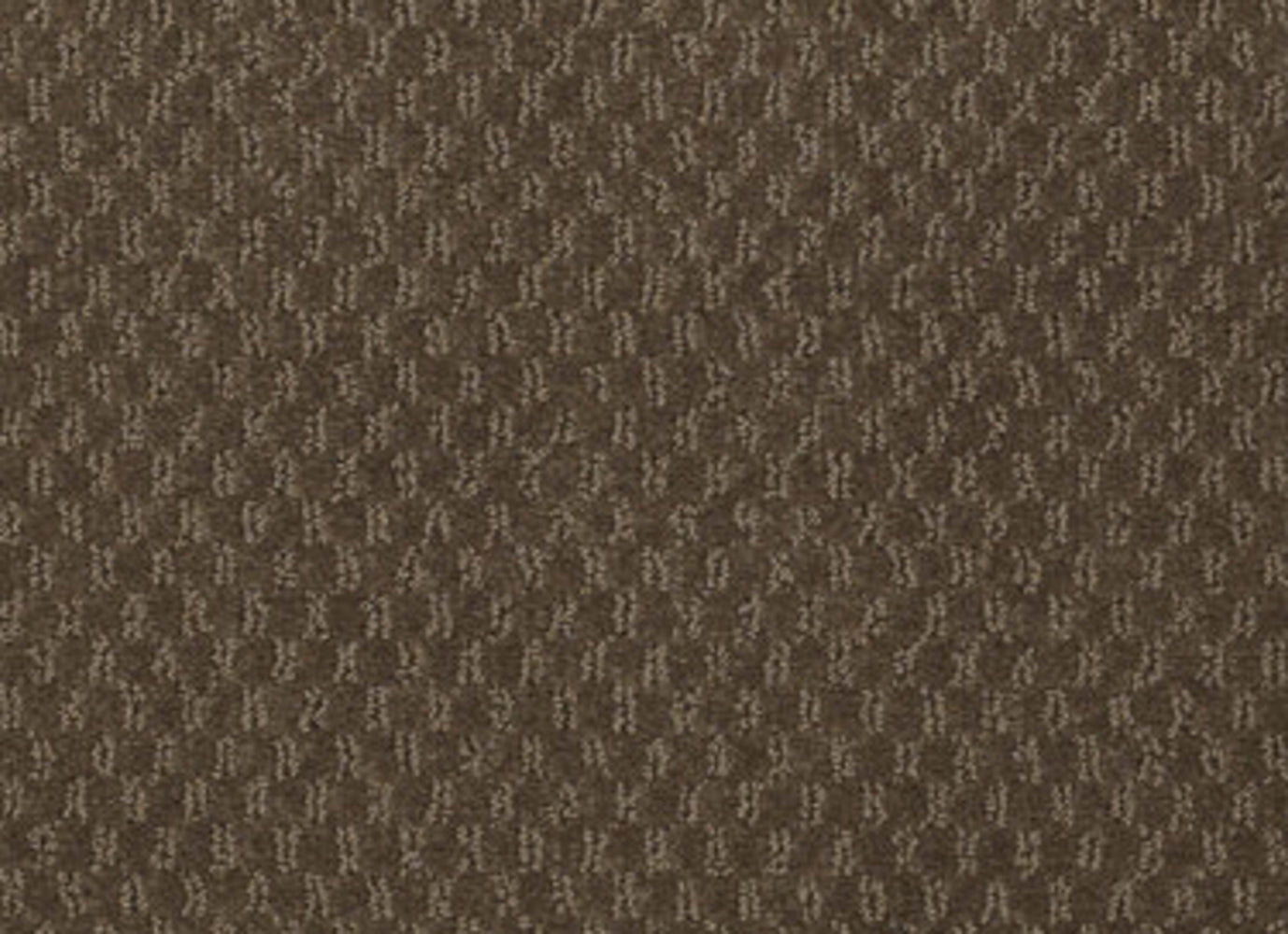 Elements in Secret Garden Carpet