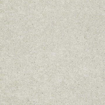 Oyster Pearl