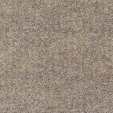 Buckskin