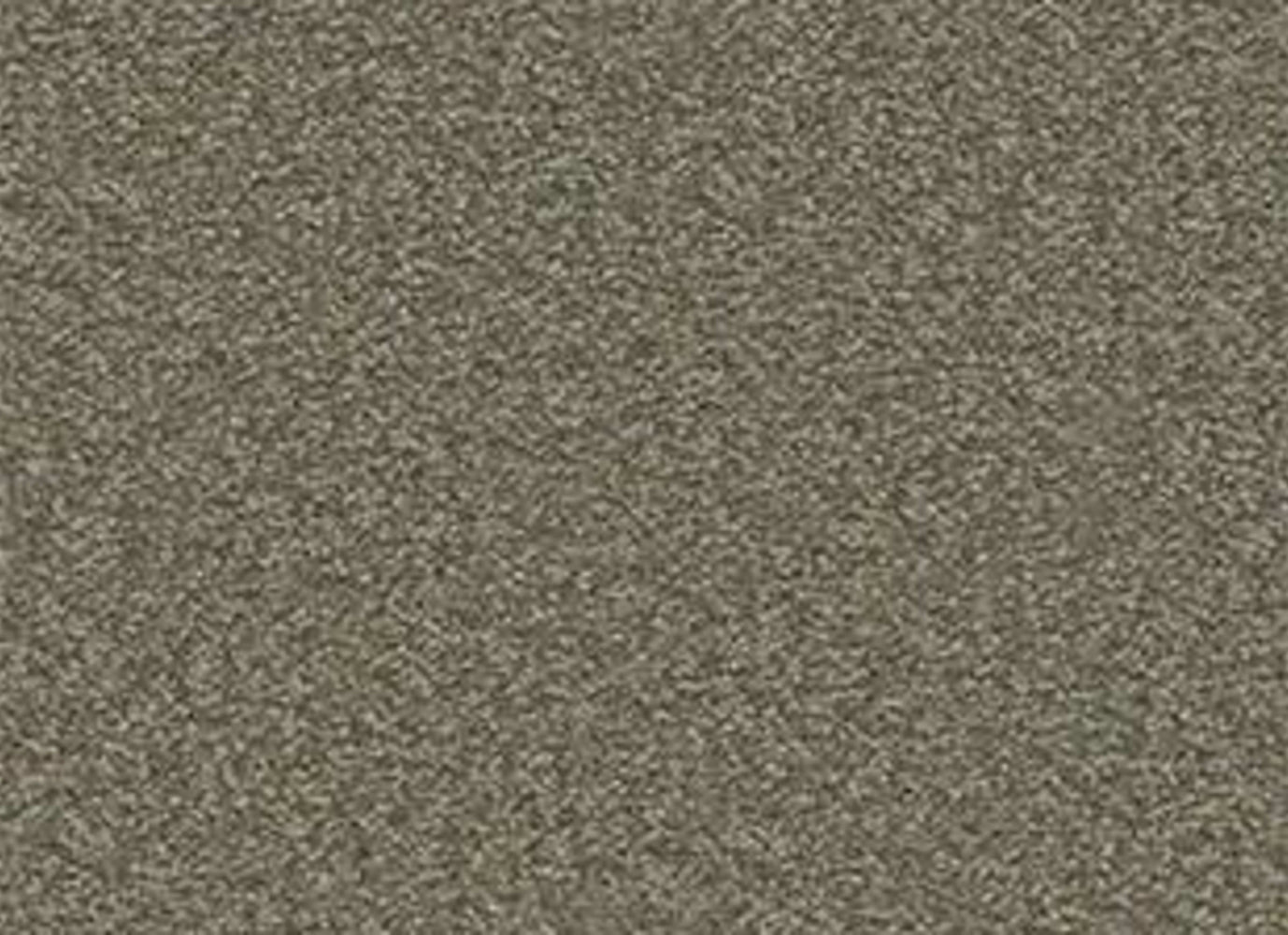 Truly Modern II 12' in Alpine Fern Carpet