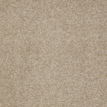 Sahara