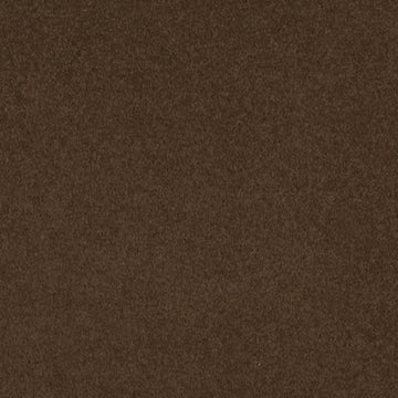 Tortoise Shell
