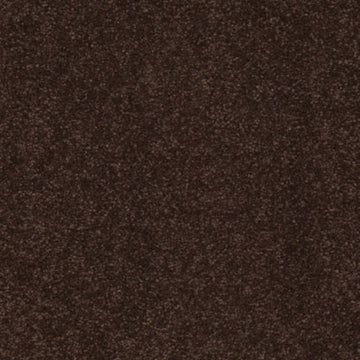 Coffee Bean