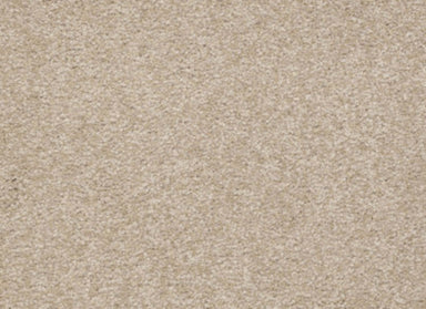 Sandy Hollow I 15' in Adobe Carpet