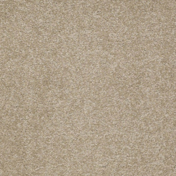 Sahara