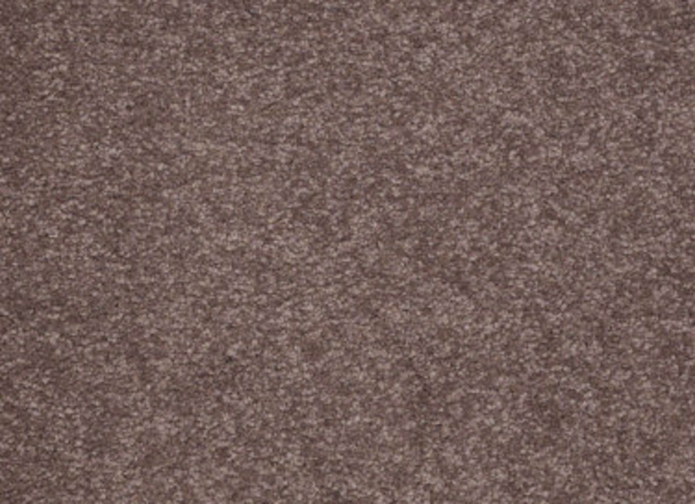 Sandy Hollow II 12' in Warm Oak Carpet