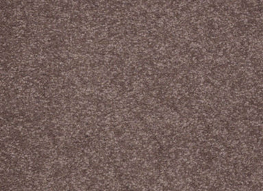 Sandy Hollow II 12' in Warm Oak Carpet