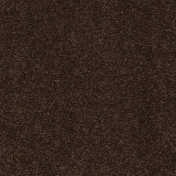Coffee Bean
