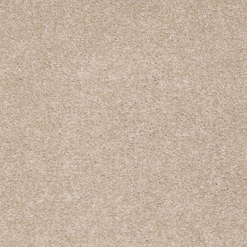 Stucco