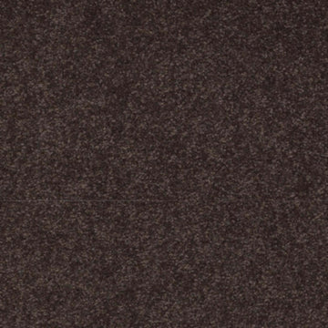 Tundra